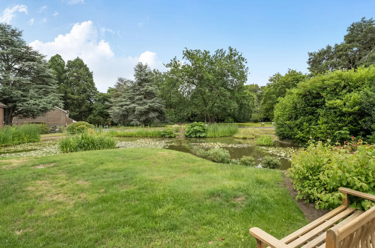 Ivy Drive, Lightwater, Surrey, GU18 5YY, photo 10