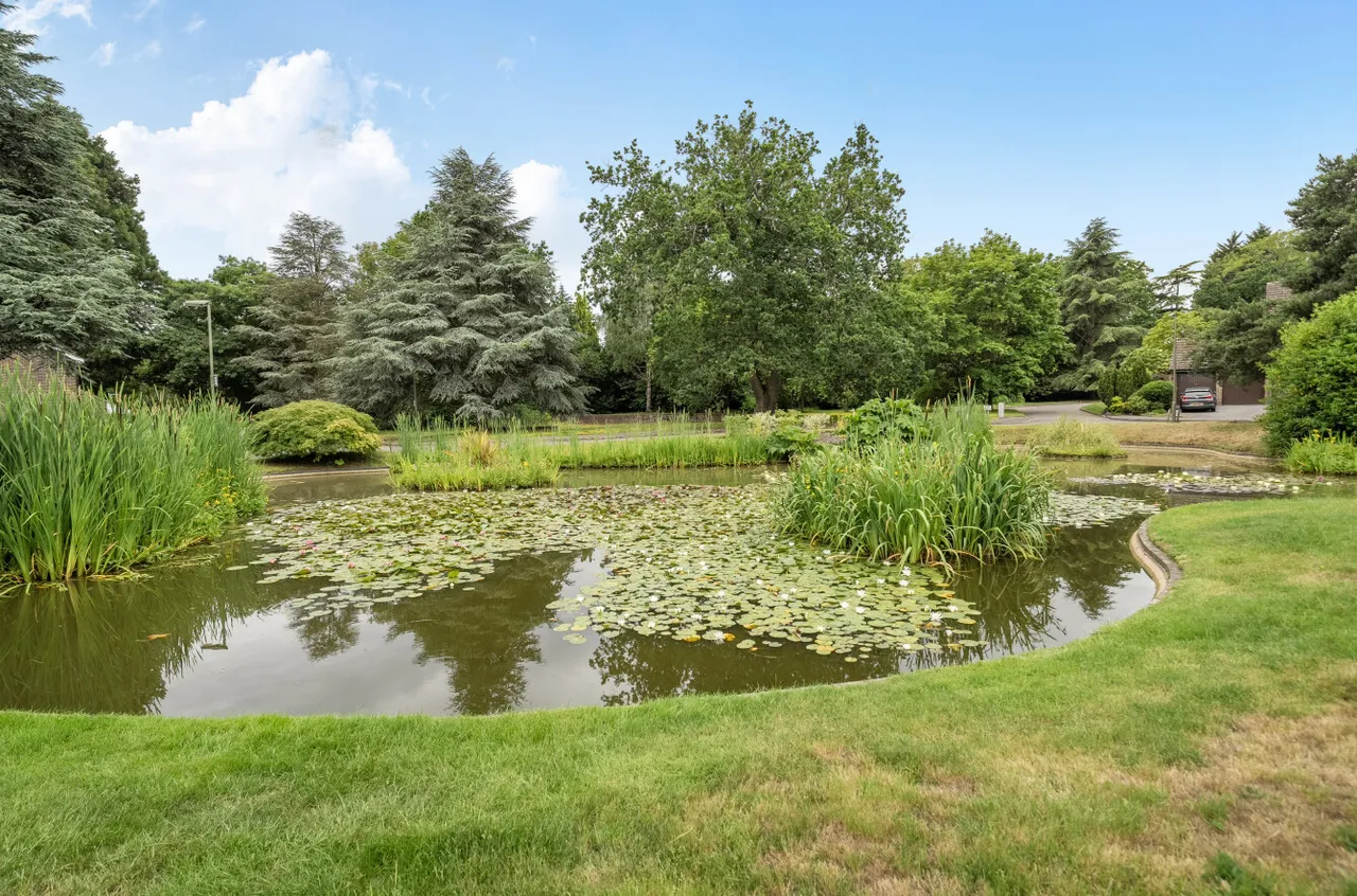 Ivy Drive, Lightwater, Surrey, GU18 5YY, photo 9