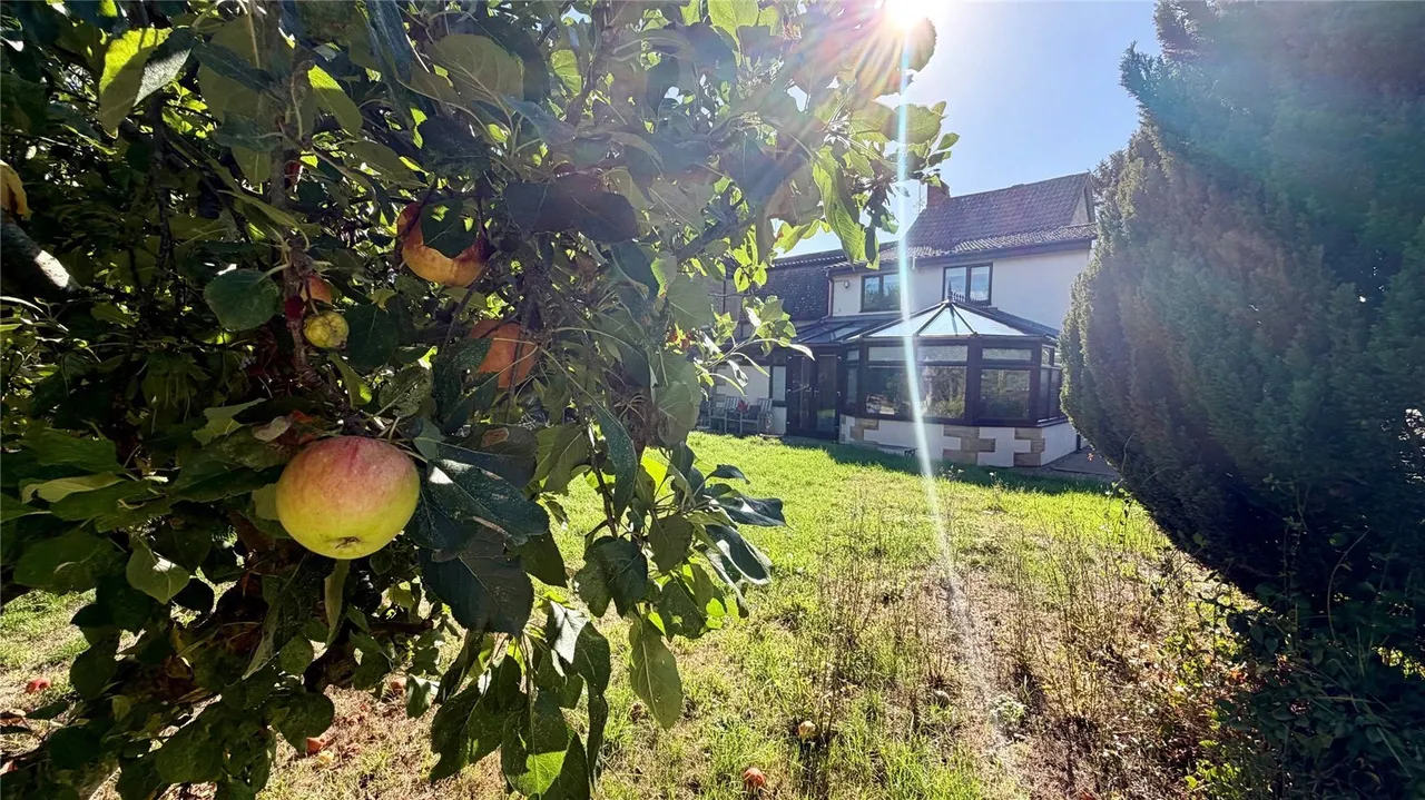 Silver Street, South Petherton, TA13, photo 14