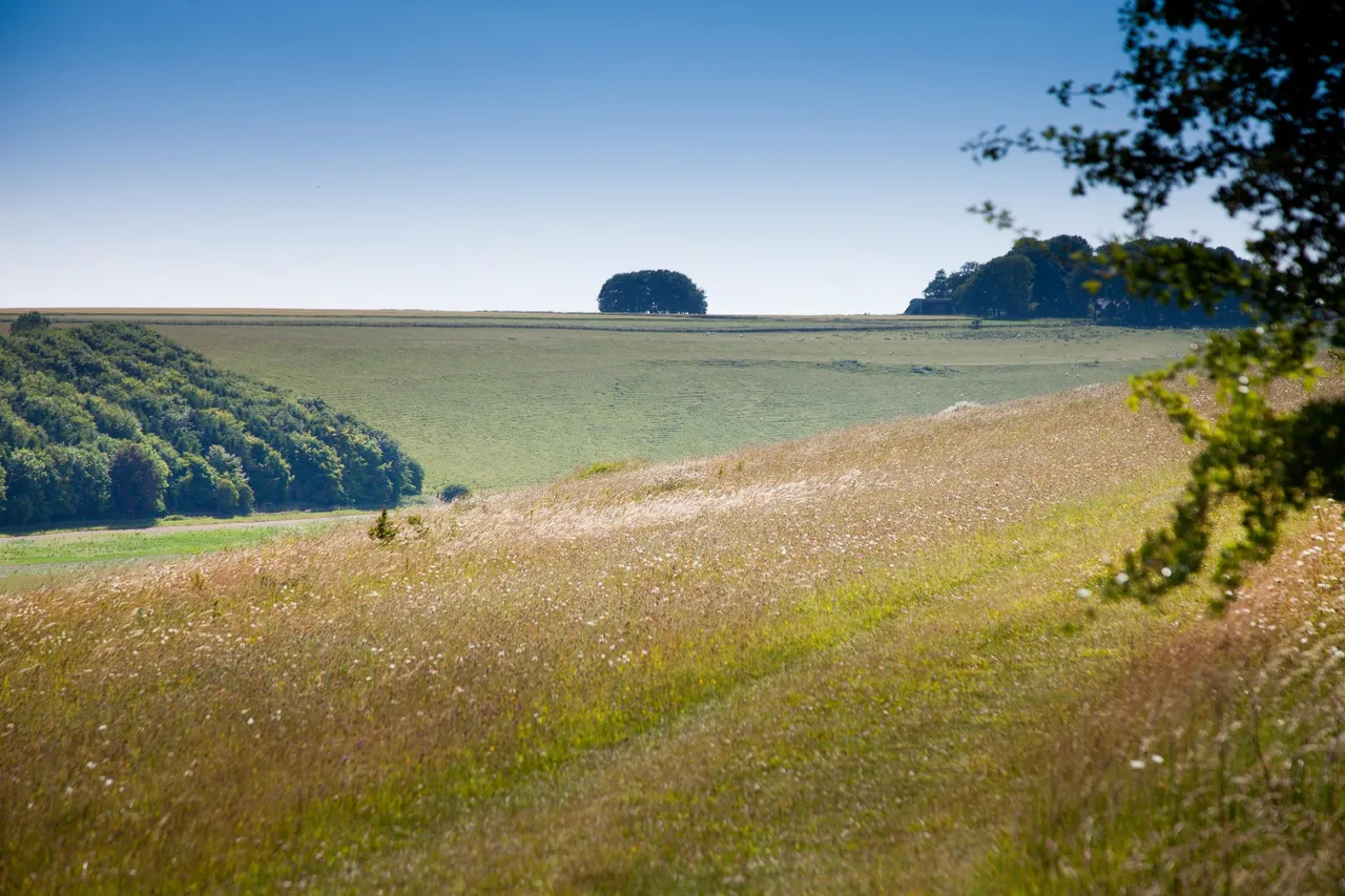 Sutton Parva, Tytherington, Warminster, Wiltshire, BA12 7AF, photo 11