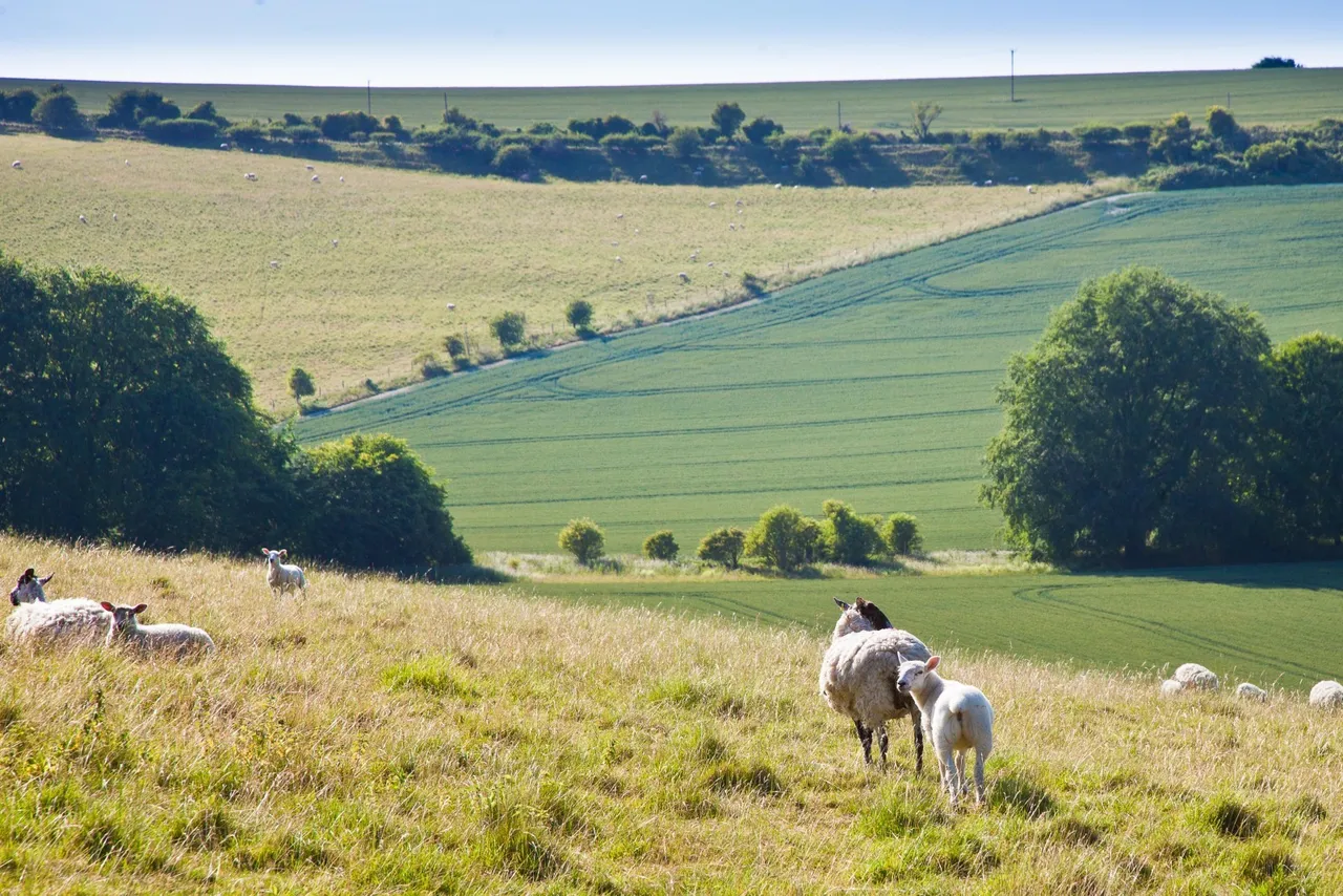 Sutton Parva, Tytherington, Warminster, Wiltshire, BA12 7AF, photo 3
