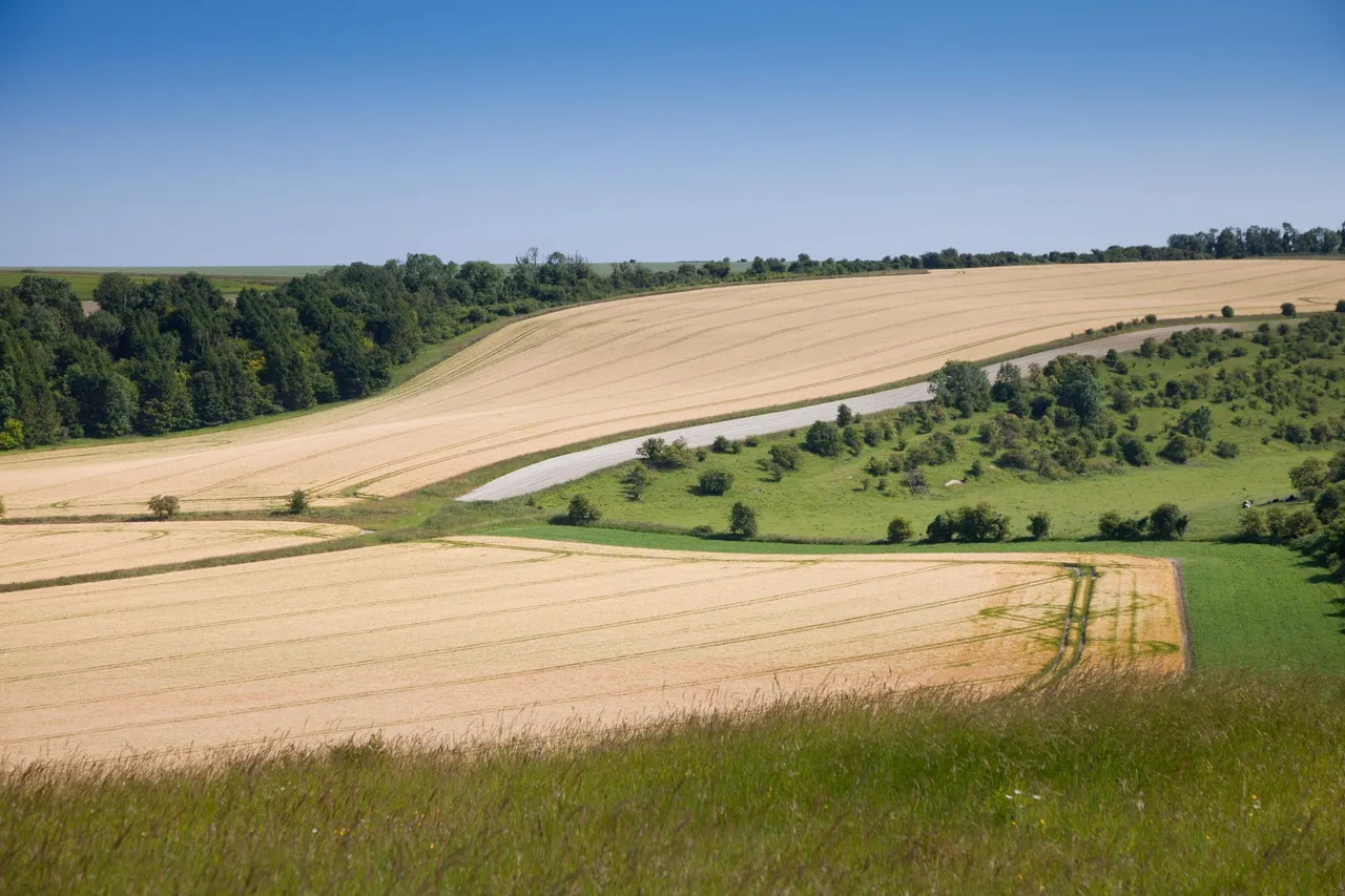 Sutton Parva, Tytherington, Warminster, Wiltshire, BA12 7AF, photo 10