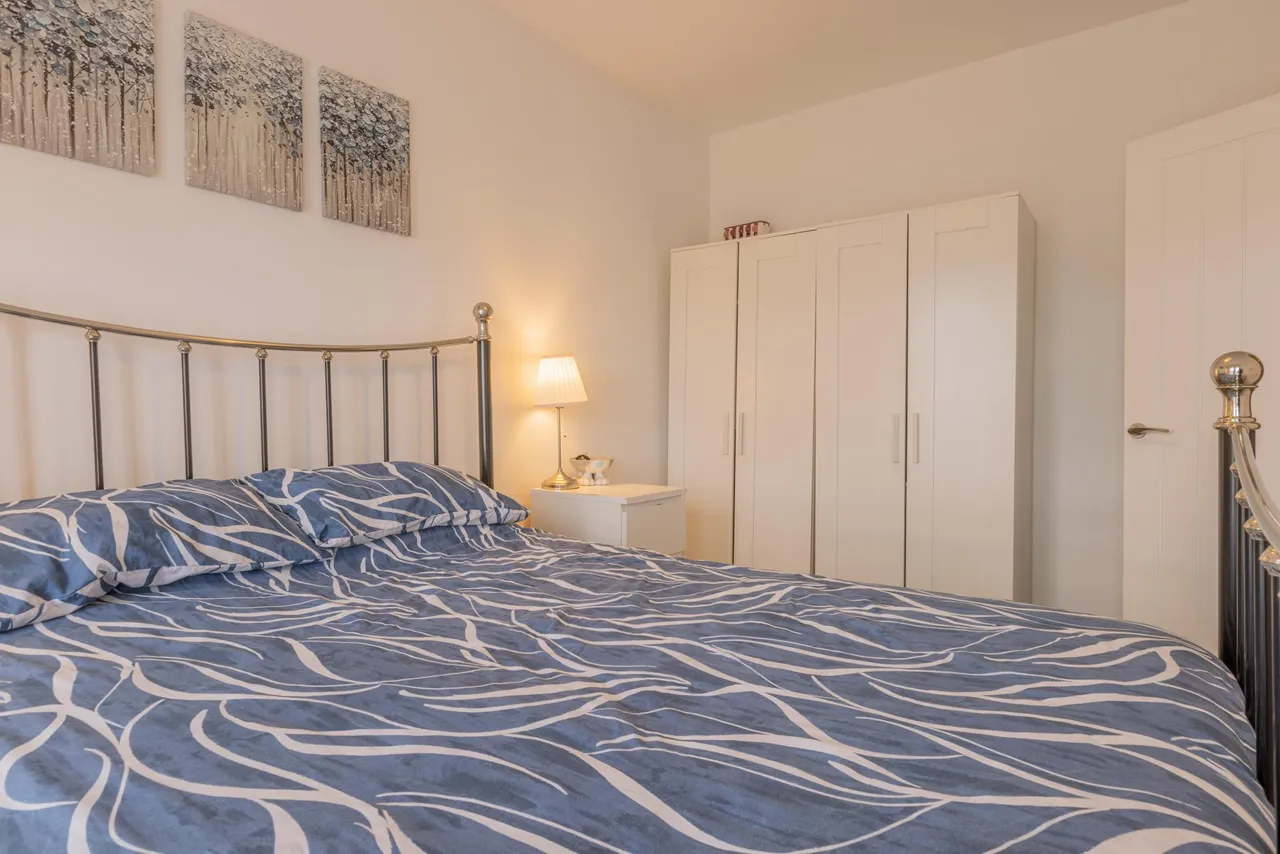 Cow Parsley Way, Newport, NP19, photo 19