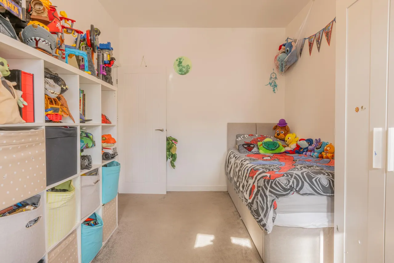 Cow Parsley Way, Newport, NP19, photo 22