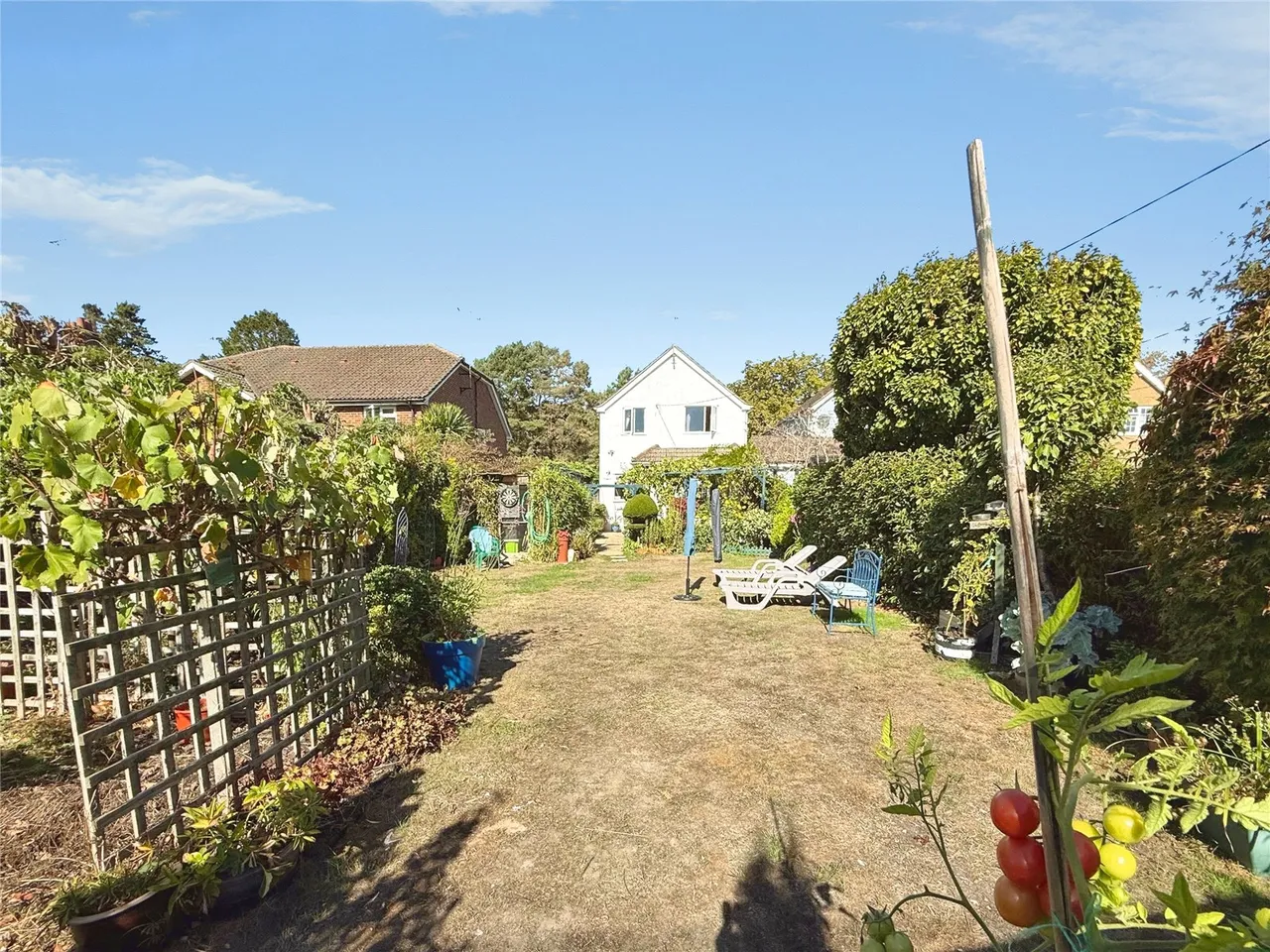 Blackdown Road, Deepcut, GU16, photo 7