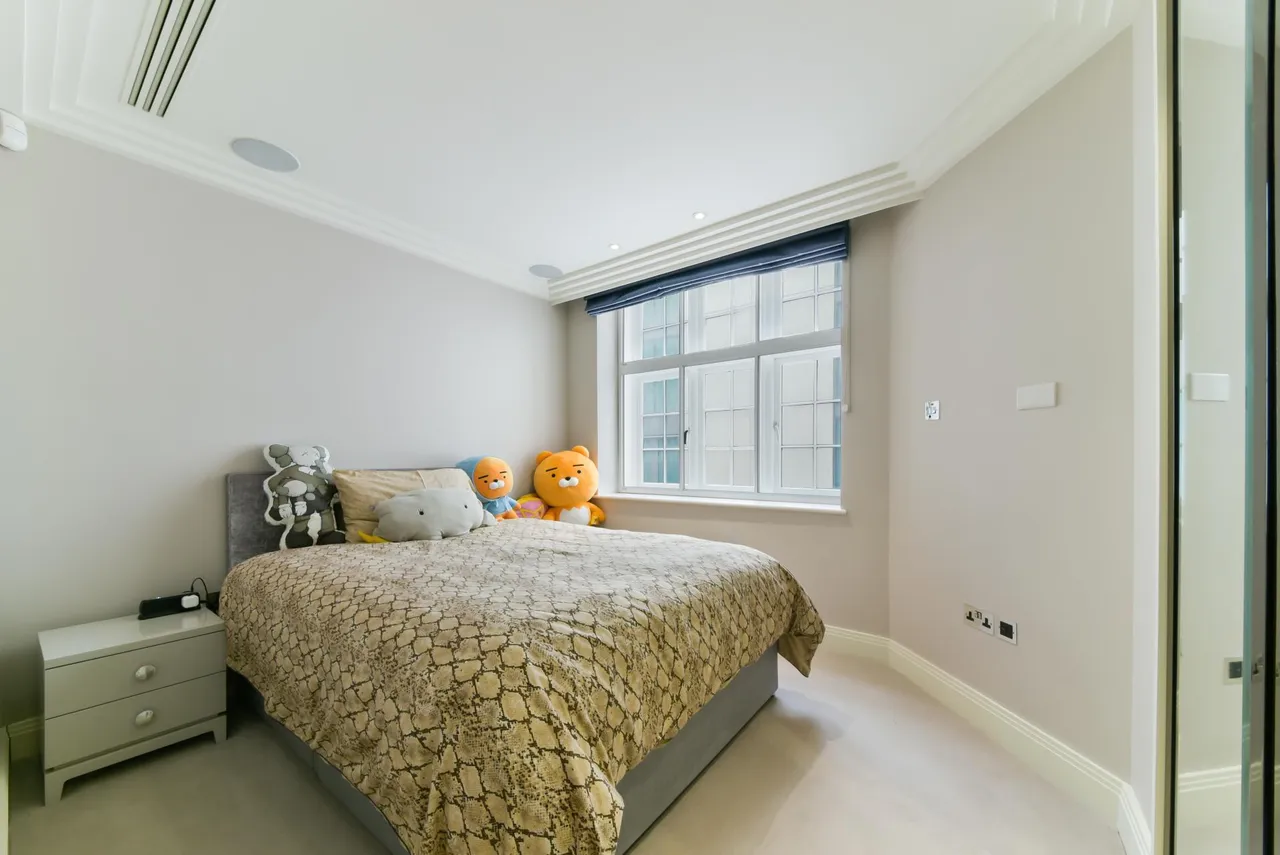 Eccleston Street, London, SW1W, photo 7