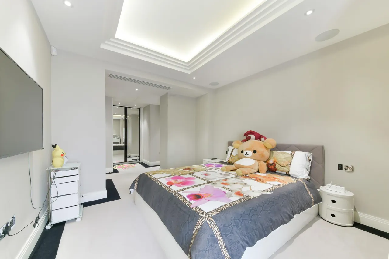 Eccleston Street, London, SW1W, photo 8