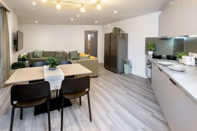 True apartment, True Sheffield, 12 Tenter Street, Sheffield, S1 4XF, photo 8
