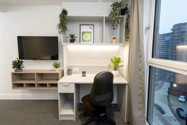 True apartment, True Sheffield, 12 Tenter Street, Sheffield, S1 4XF, photo 4