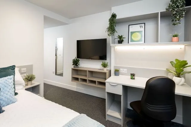 True apartment, True Sheffield, 12 Tenter Street, Sheffield, S1 4XF, photo 3