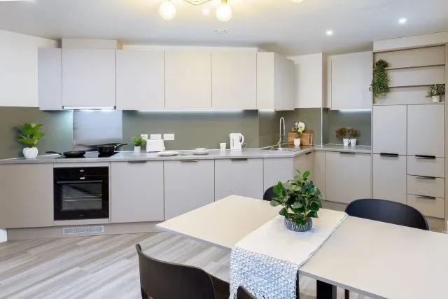 True apartment, True Sheffield, 12 Tenter Street, Sheffield, S1 4XF, photo 7