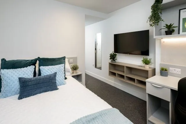 True apartment, True Sheffield, 12 Tenter Street, Sheffield, S1 4XF, photo 5