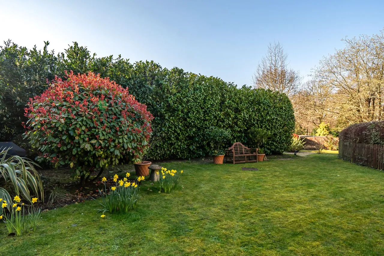Grayswood Road, Haslemere, GU27, photo 4