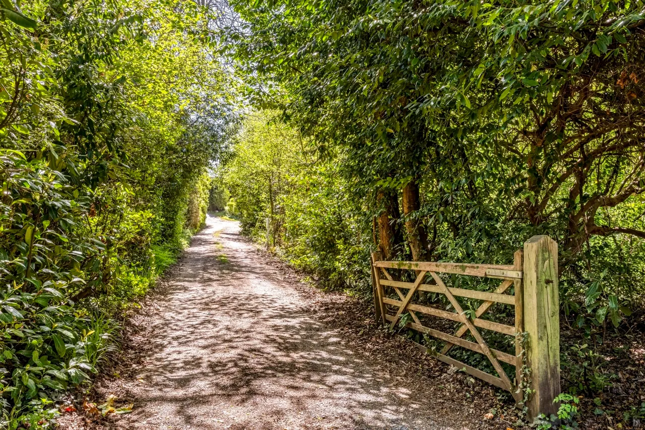 Amberley Close, Haywards Heath, RH16, photo 4