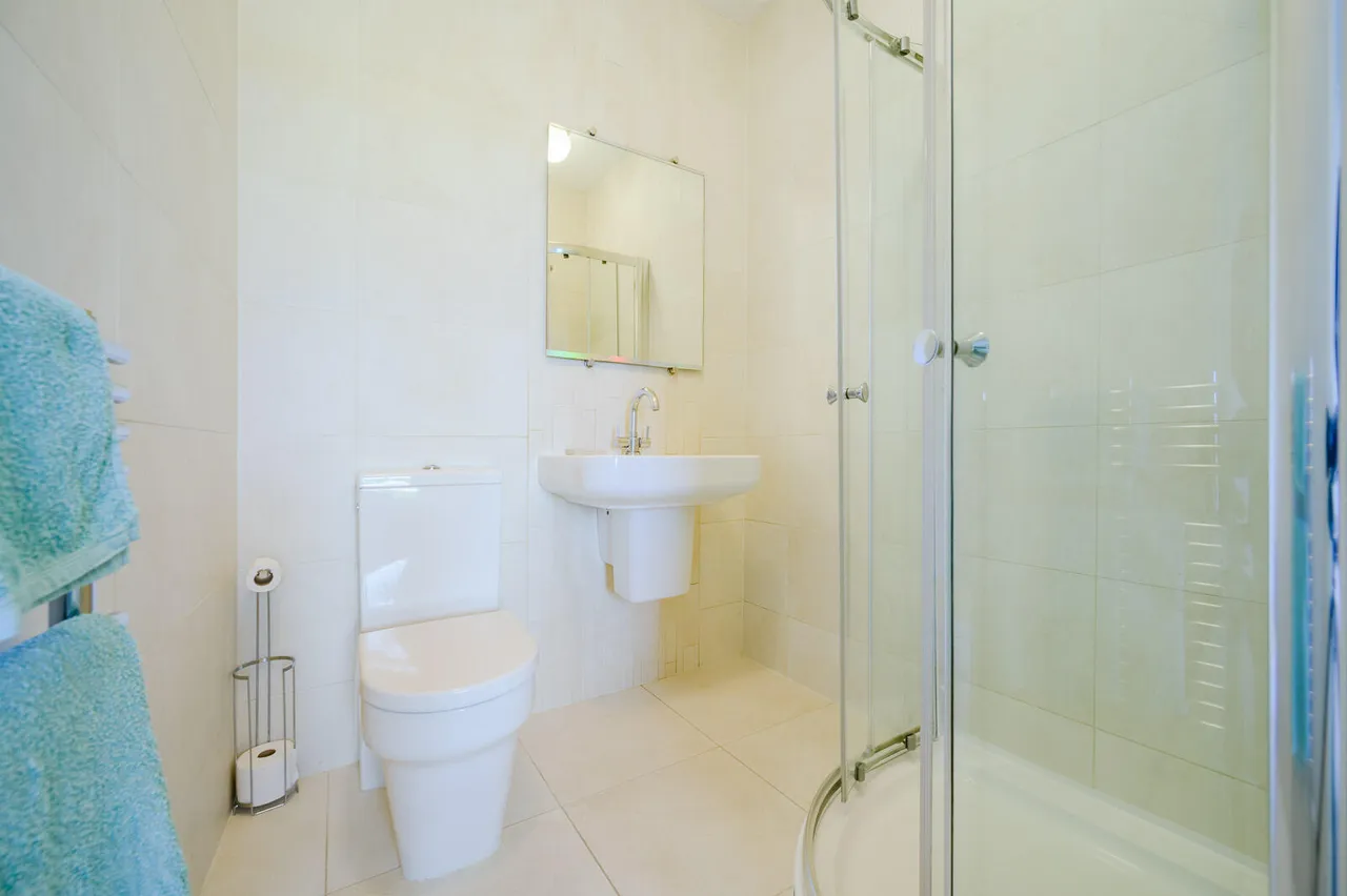 Maxwell Drive, bangor, BT20, photo 25