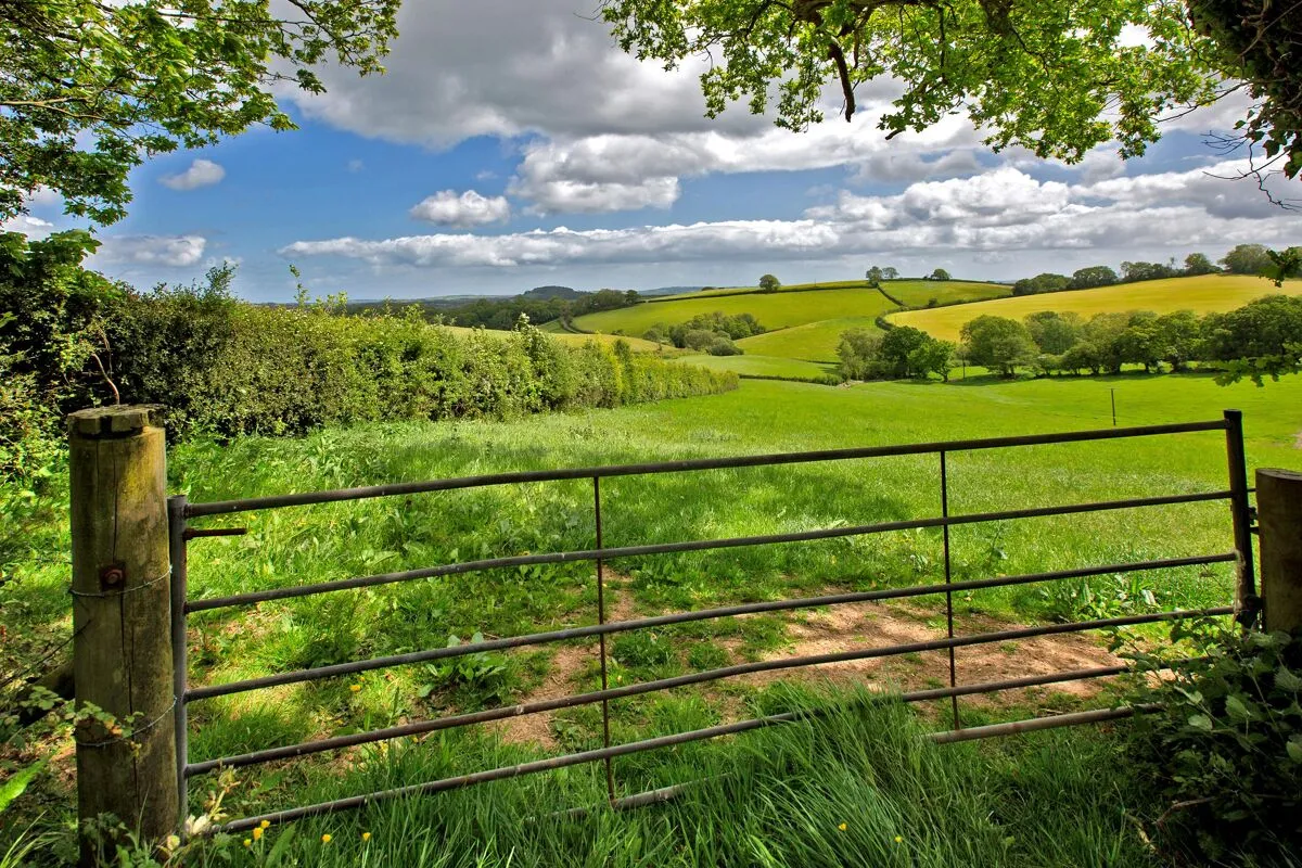 Bickington, Newton Abbot, TQ12, photo 42