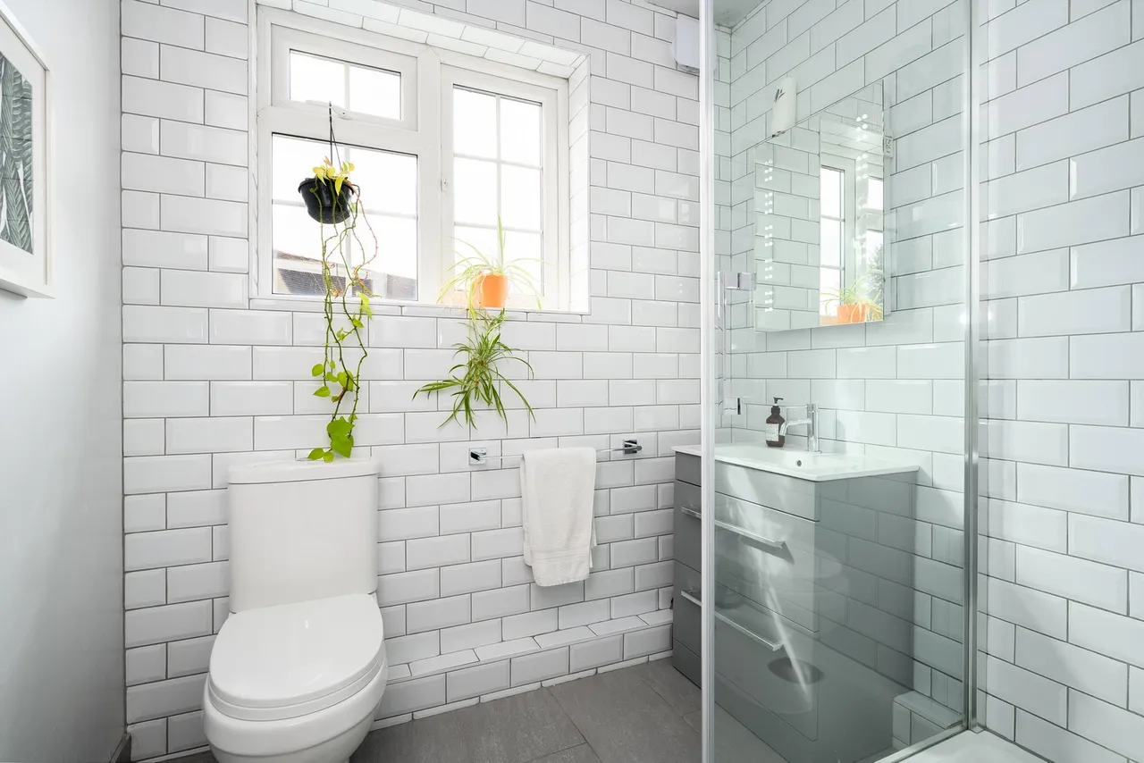 Church Street, Walton-on-thames, KT12, photo 6