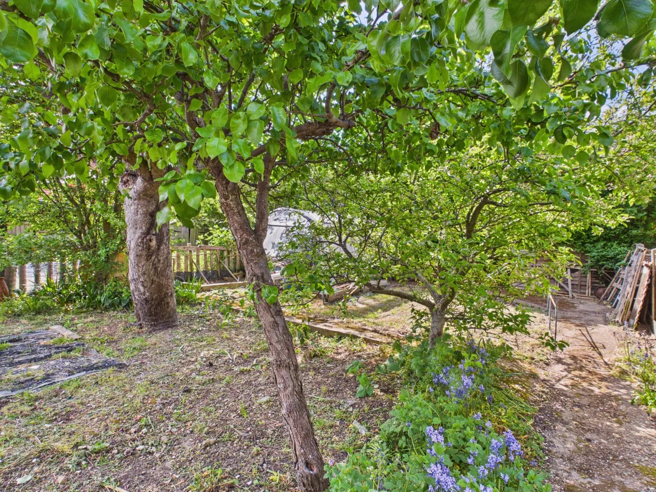 Stanwell Road, Ashford, TW15, photo 18