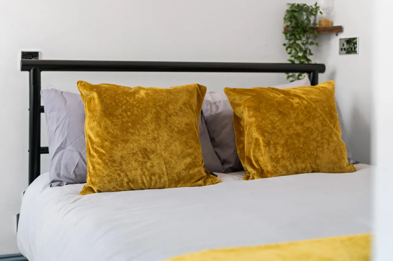 West Newington Place, Edinburgh, EH9, photo 10