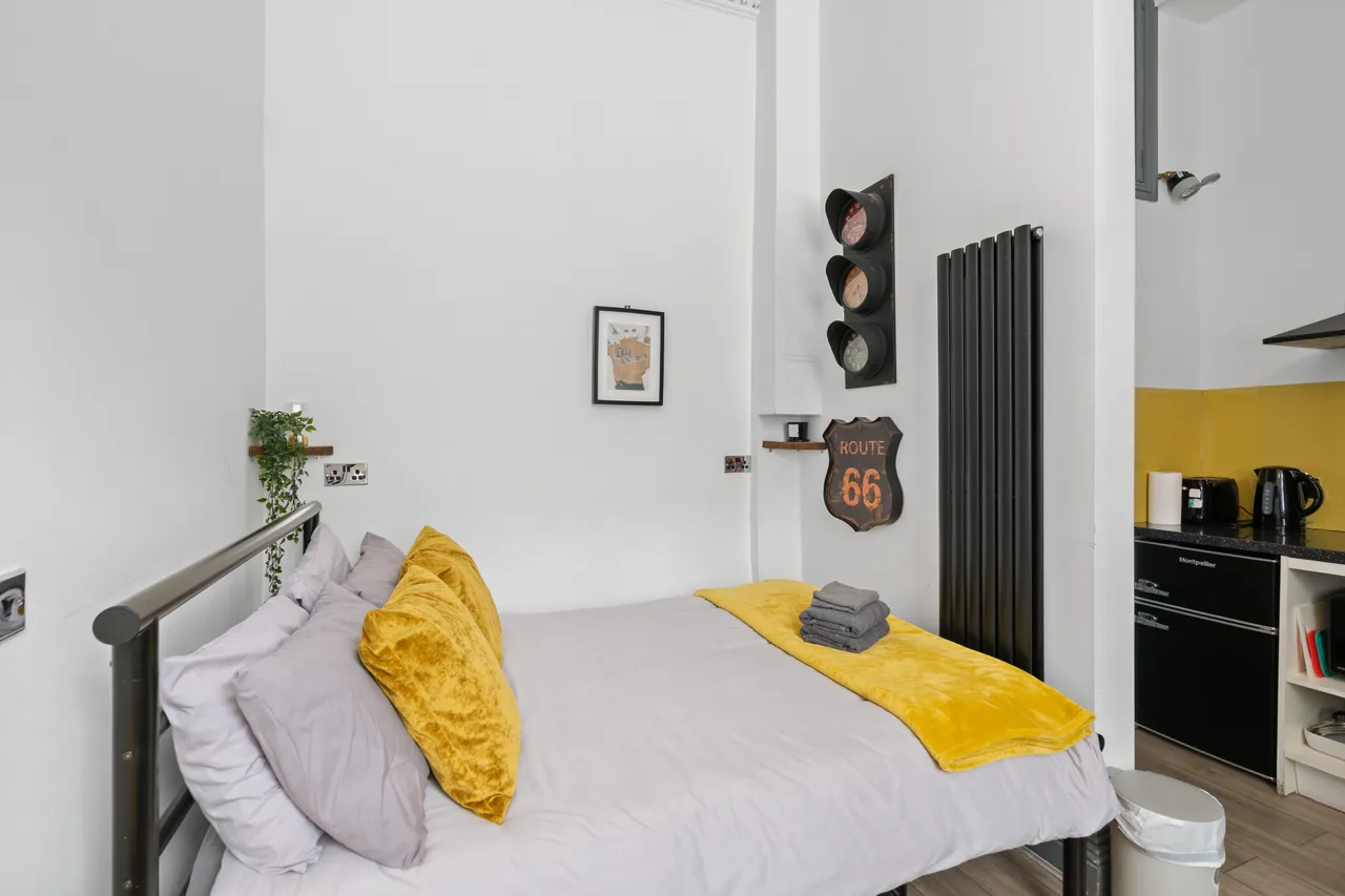 West Newington Place, Edinburgh, EH9, photo 8