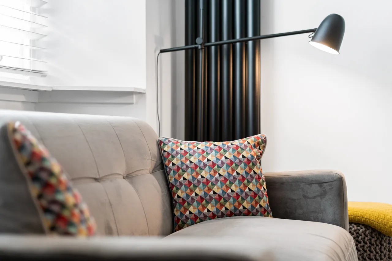 West Newington Place, Edinburgh, EH9, photo 5