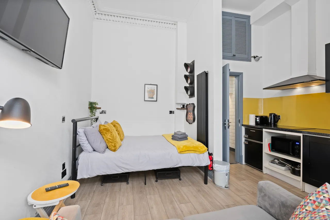 West Newington Place, Edinburgh, EH9, photo 9