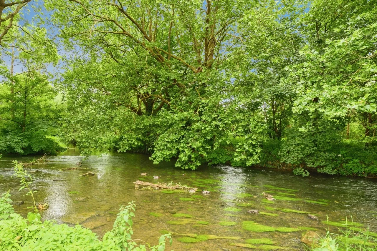 Bridge Street, Leatherhead, KT22, photo 10