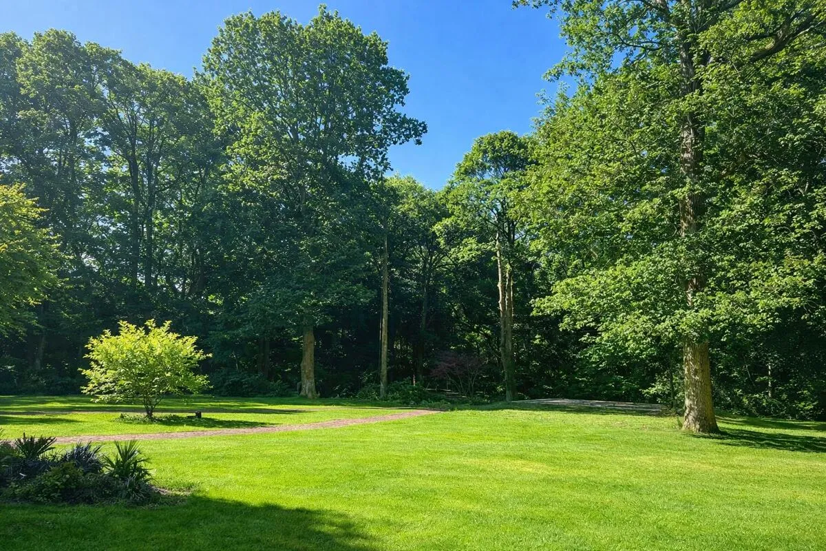 Upper Durford Wood, Petersfield, GU31, photo 4
