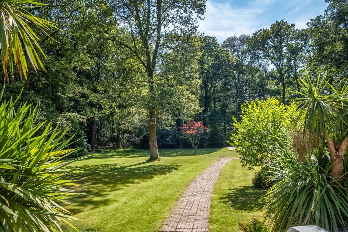 Upper Durford Wood, Petersfield, GU31, photo 42