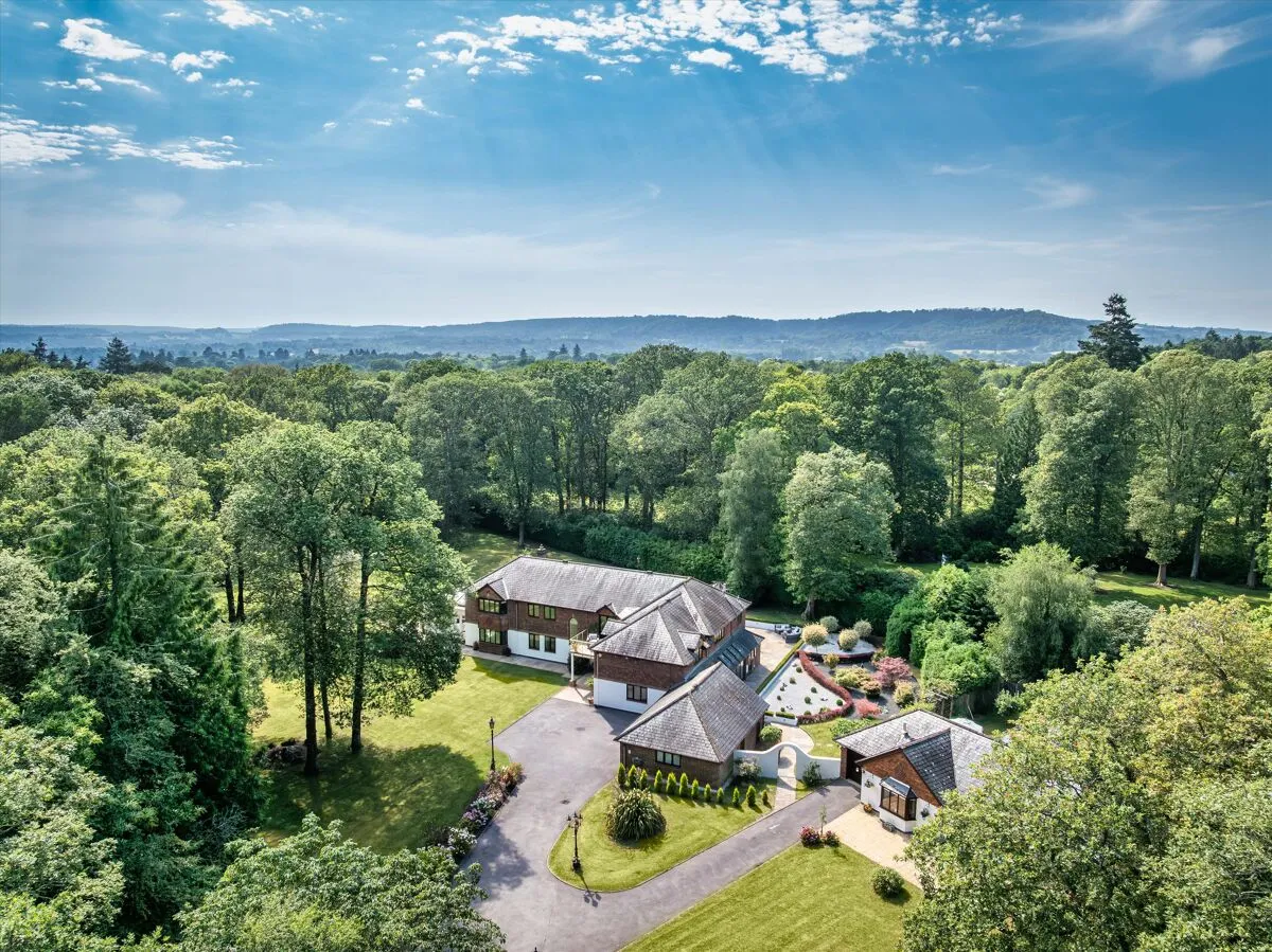 Upper Durford Wood, Petersfield, GU31, photo 5