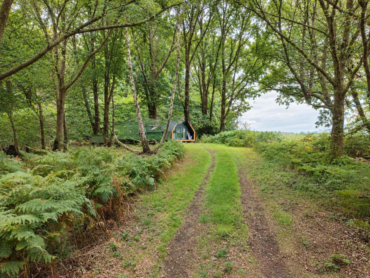 Dock Farm Road, Blaxhall, IP12, photo 5