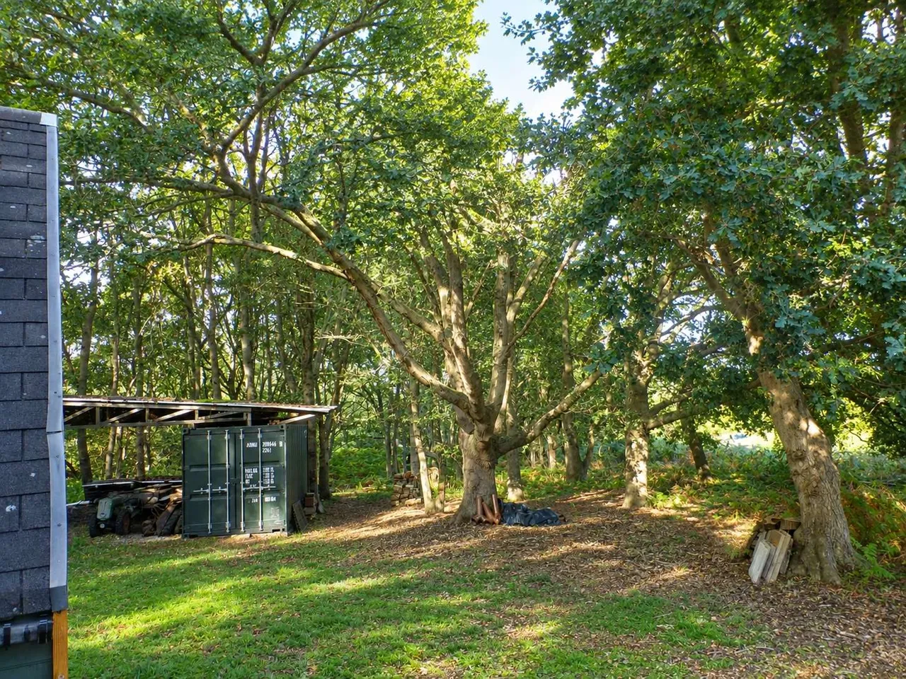 Dock Farm Road, Blaxhall, IP12, photo 9