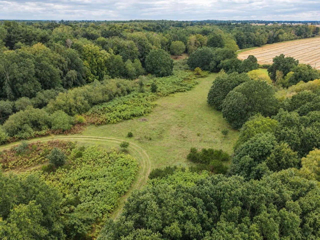 Dock Farm Road, Blaxhall, IP12, photo 4