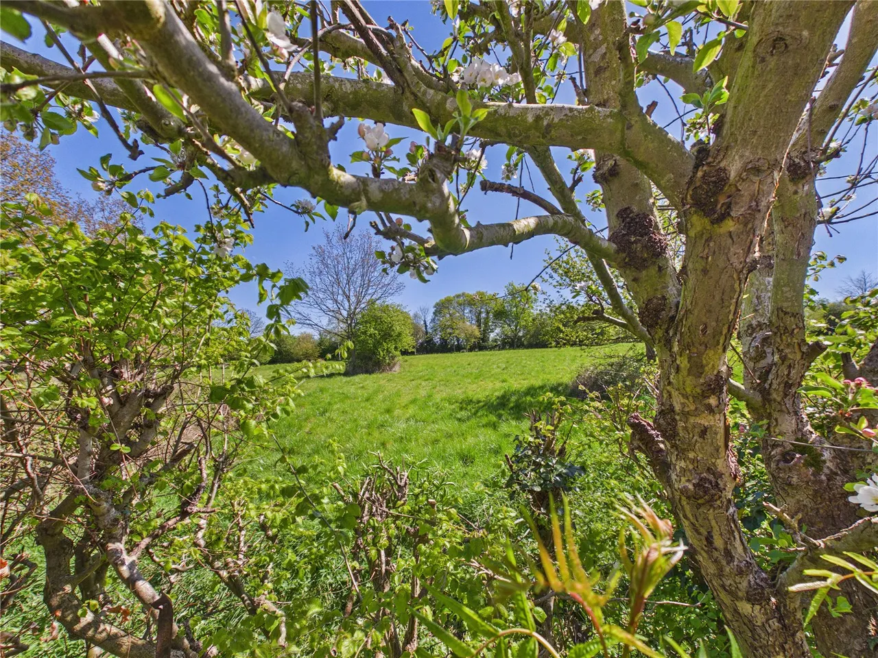 Fairfield Crescent, Framlingham, IP13, photo 2