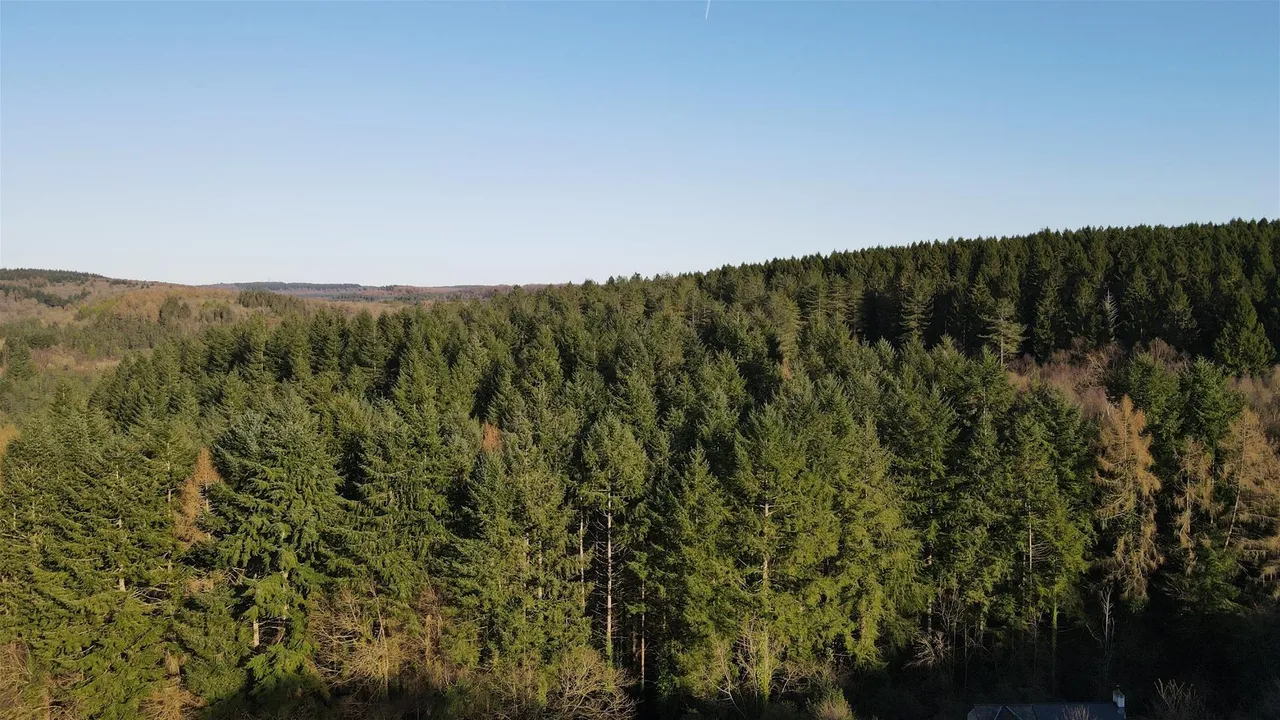 The Boarts, Lydbrook, GL17, photo 25
