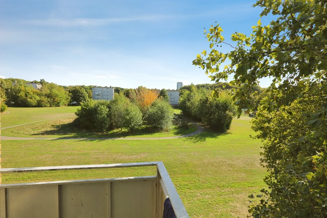 Napier Road, Southampton, SO19, photo 6