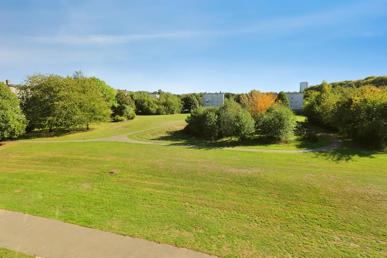 Napier Road, Southampton, SO19, photo 7