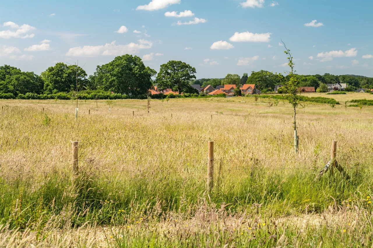 Edmondsham Road, Fordingbridge, BH31, photo 12