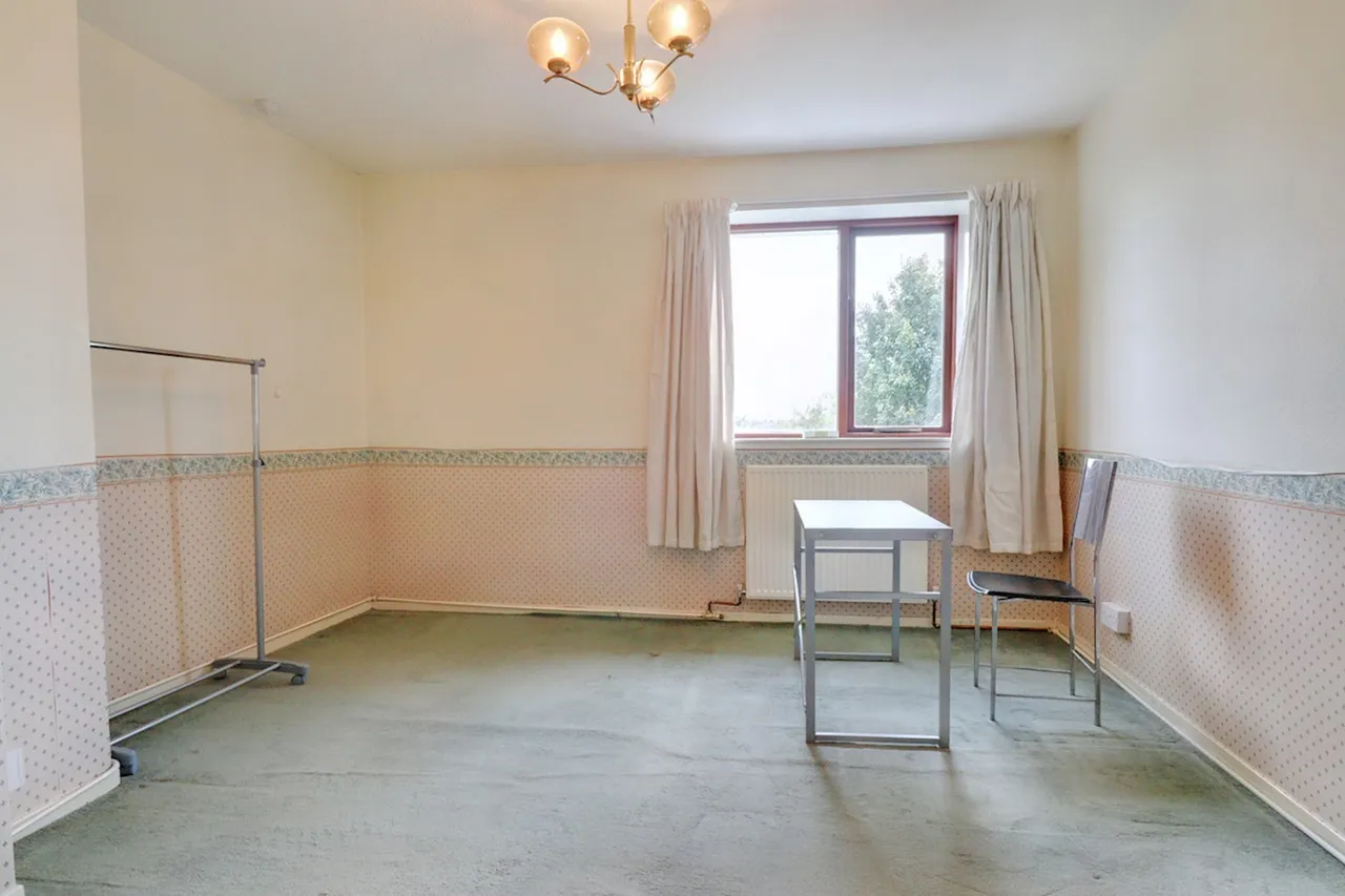 Southwood Drive, Bristol, BS9, photo 7