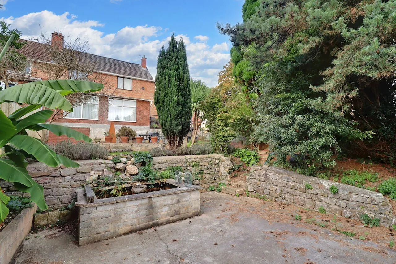 Southwood Drive, Bristol, BS9, photo 15