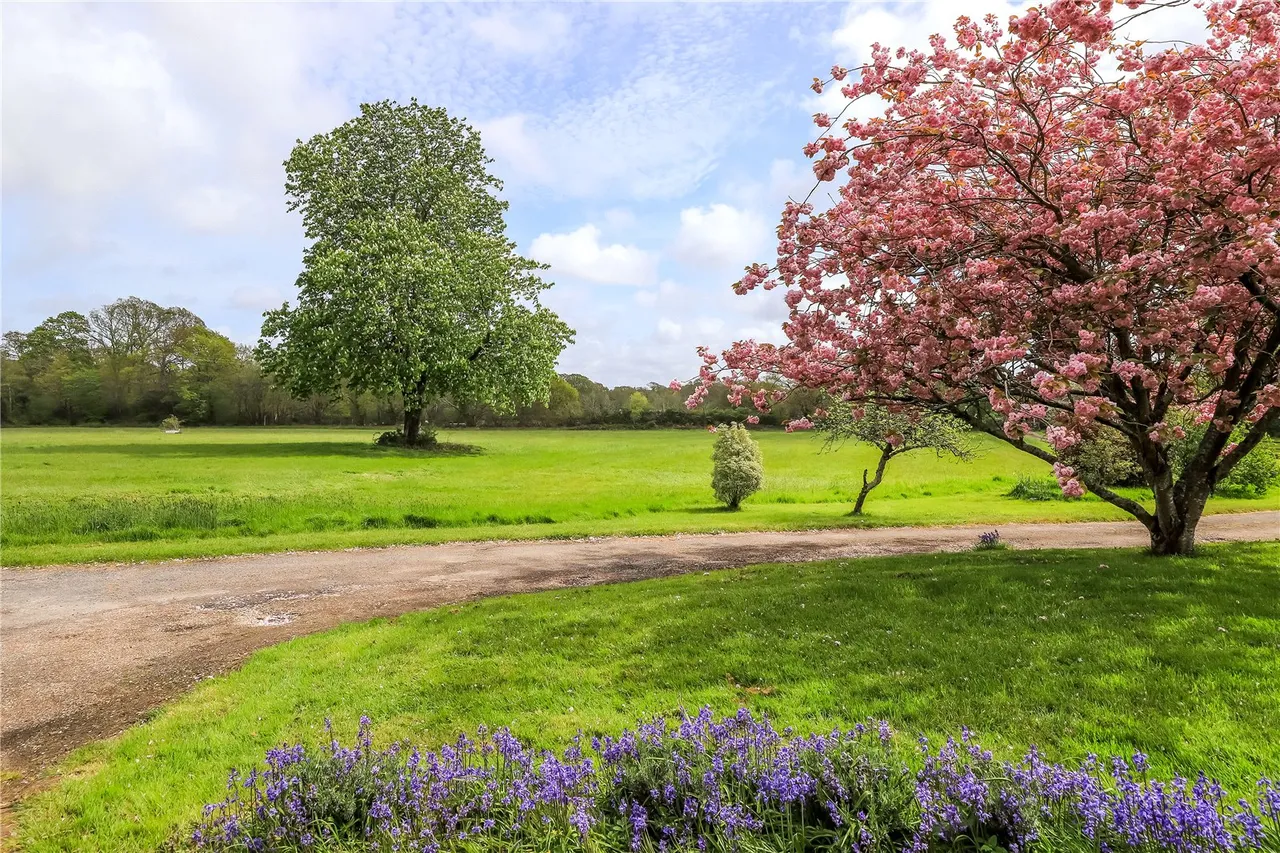 Football Green, Minstead, Lyndhurst, Hampshire, SO43 7FR, photo 16