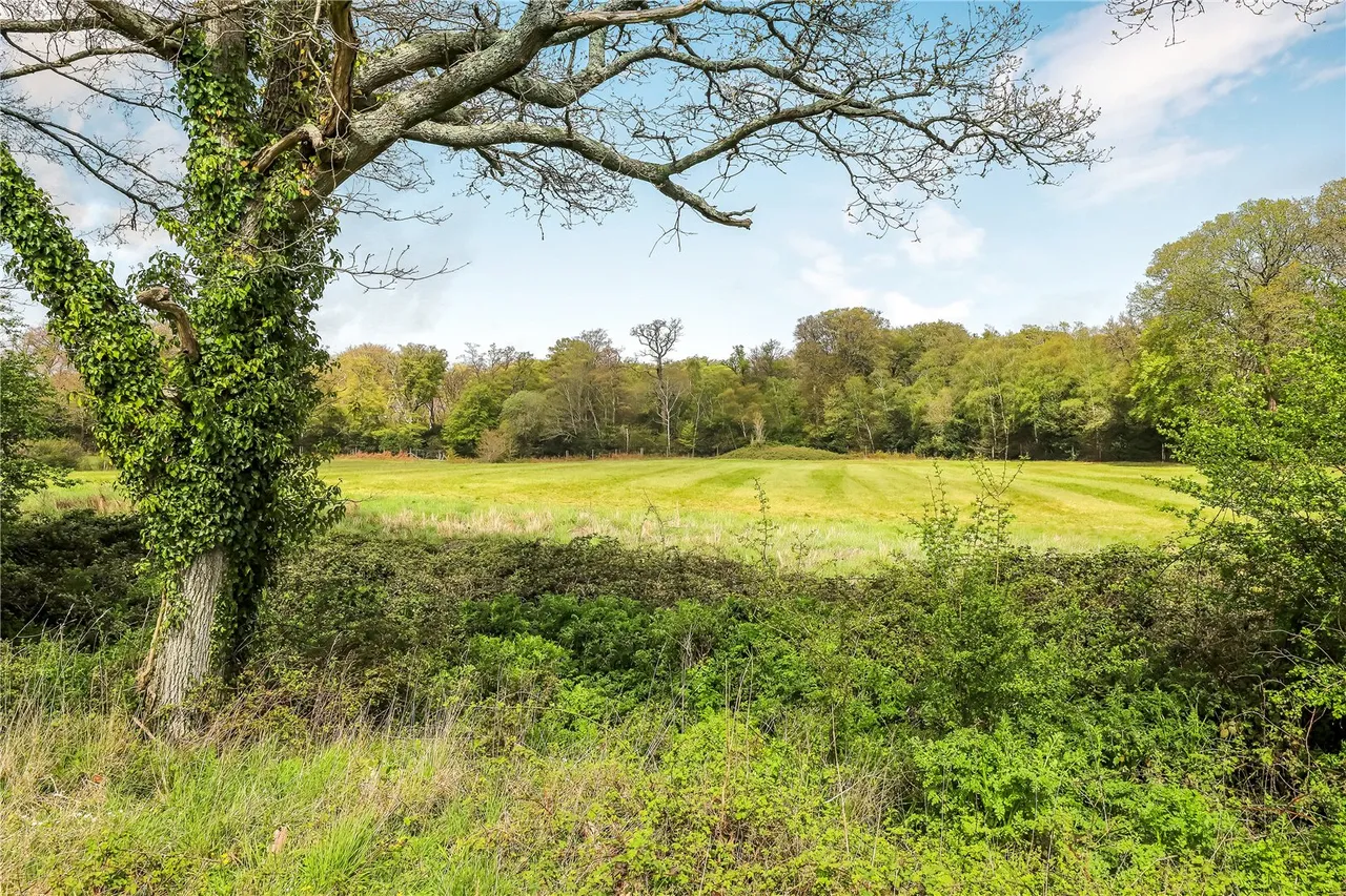 Football Green, Minstead, Lyndhurst, Hampshire, SO43 7FR, photo 22