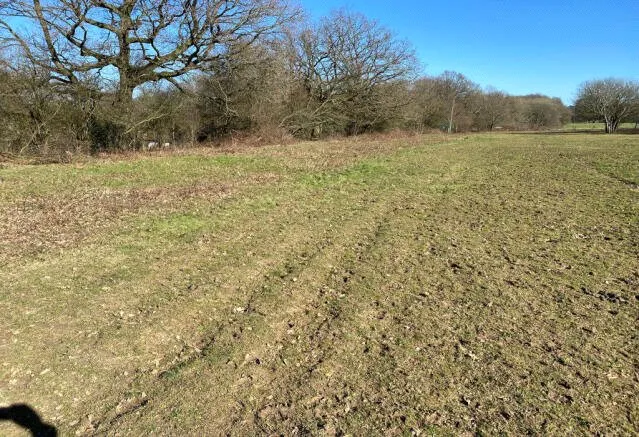 Land North Side, Cotmans Ash Lane, TN15, photo 10