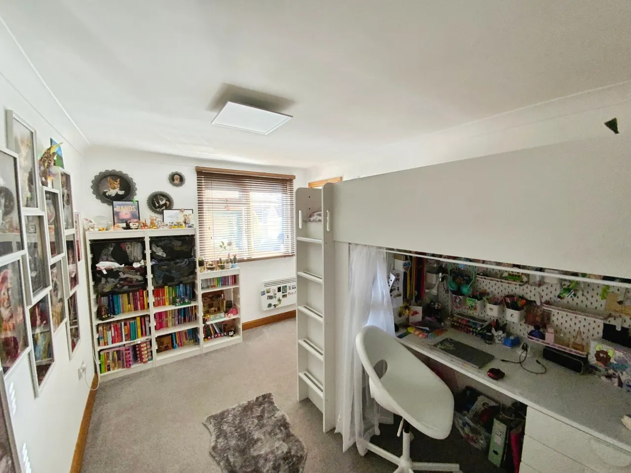 Carlton Drive, Aldbrough, HU11, photo 13