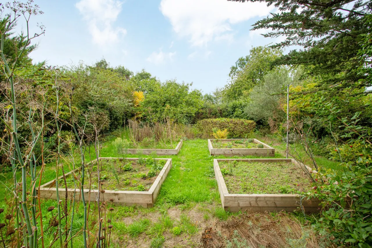 Cherry Garden Avenue, Folkestone, CT19, photo 25
