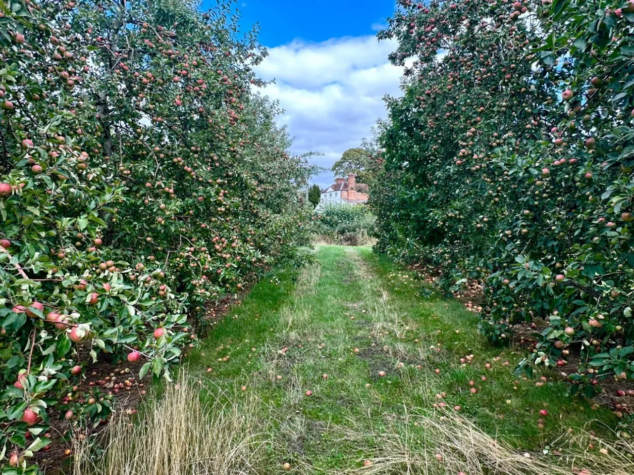 Dormington, Hereford, photo 24