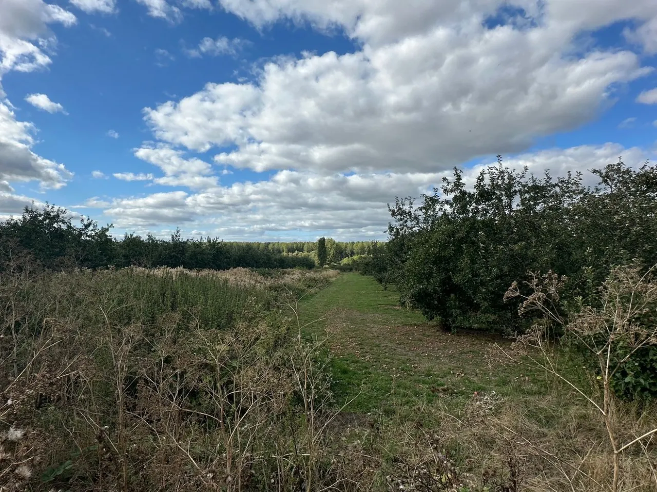 Dormington, Hereford, photo 2