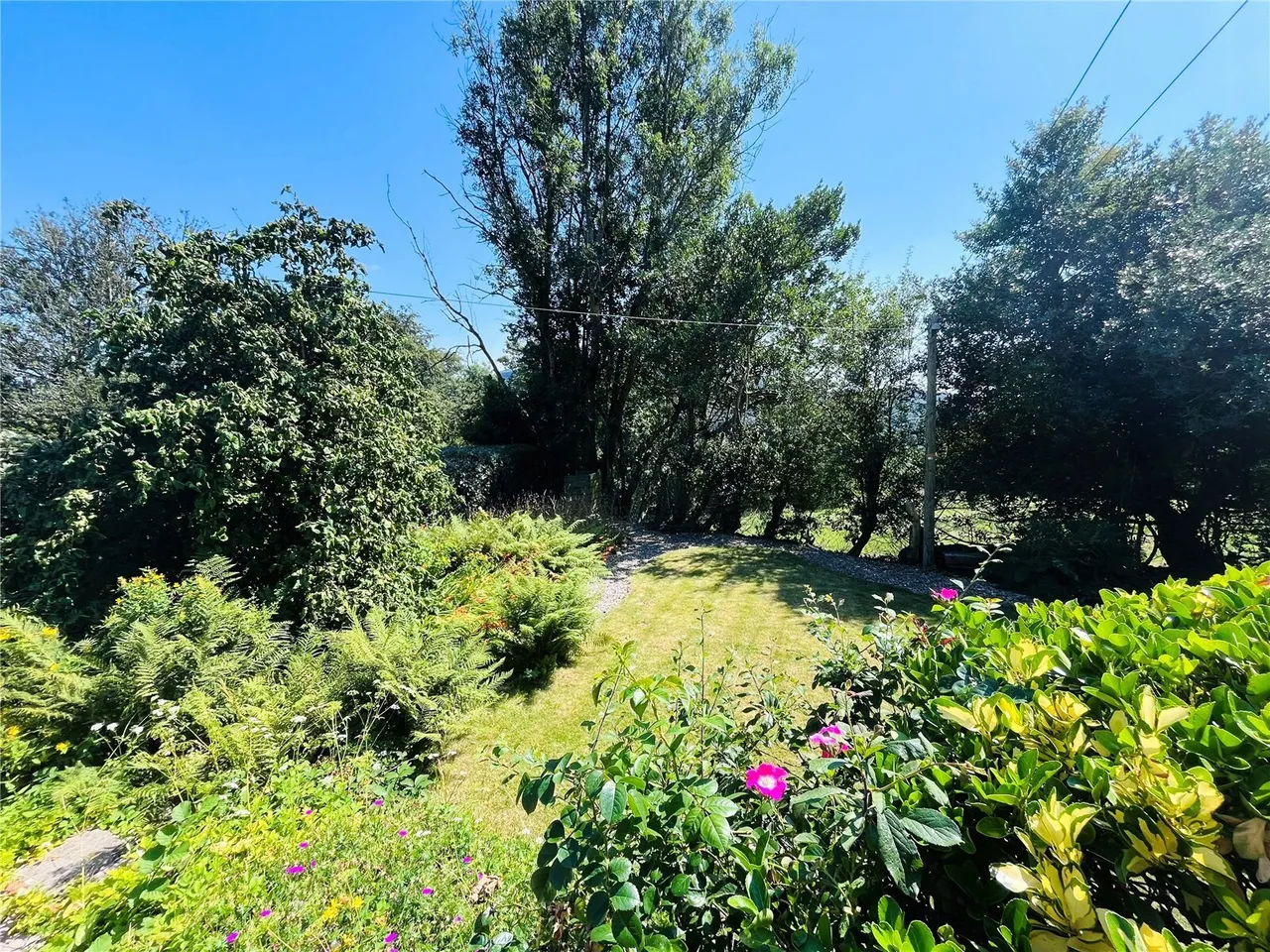 Penmorfa, Porthmadog, LL49, photo 34