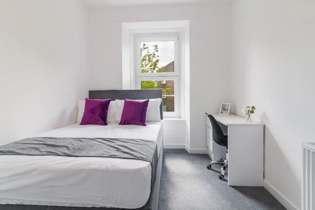 St Peter Street, West End, DD1, photo 8