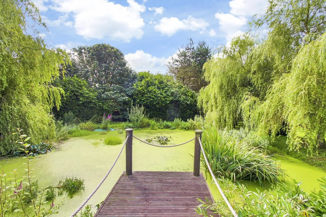 South Farm Lane, Langton Green, TN3, photo 21